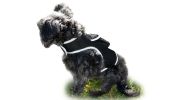 NEW Mini GPS GSM Pet Tracker Locator Alarm Cat Dog Protection Security Size:XXL