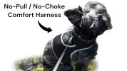 NEW Mini GPS GSM Pet Tracker Locator Alarm Cat Dog Protection Security Size:XS