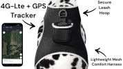 NEW Mini GPS GSM Pet Tracker Locator Alarm Cat Dog Protection Security Size:M