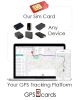 GPS cards works for GPS-103B 2G Vehicle with ACC Alarm & Security Sensor